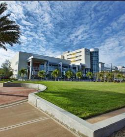 На базе University of South Florida организованы уникальные летние программы!