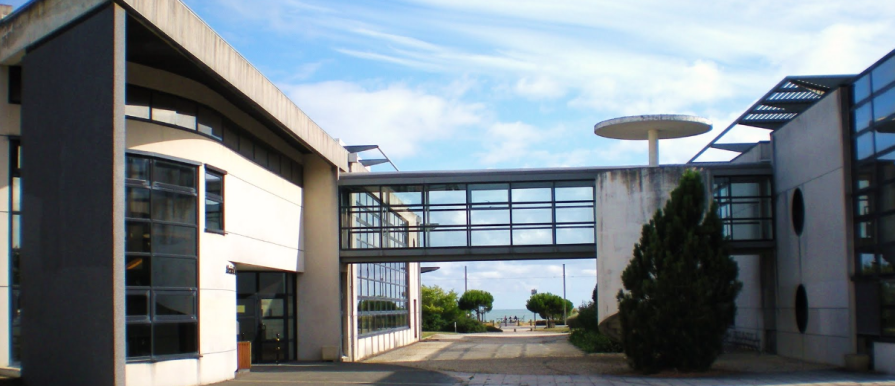 La Rochelle Business school ищет учеников!