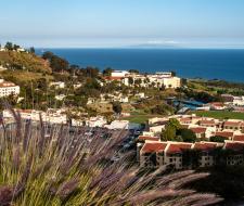 Summer Camp in Pepperdine University, Летний лагерь в Университете Пеппердин, Малибу
