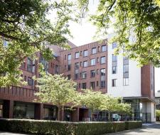 Trinity Hall Campus Summer Camp, Летний лагерь Trinity Hall