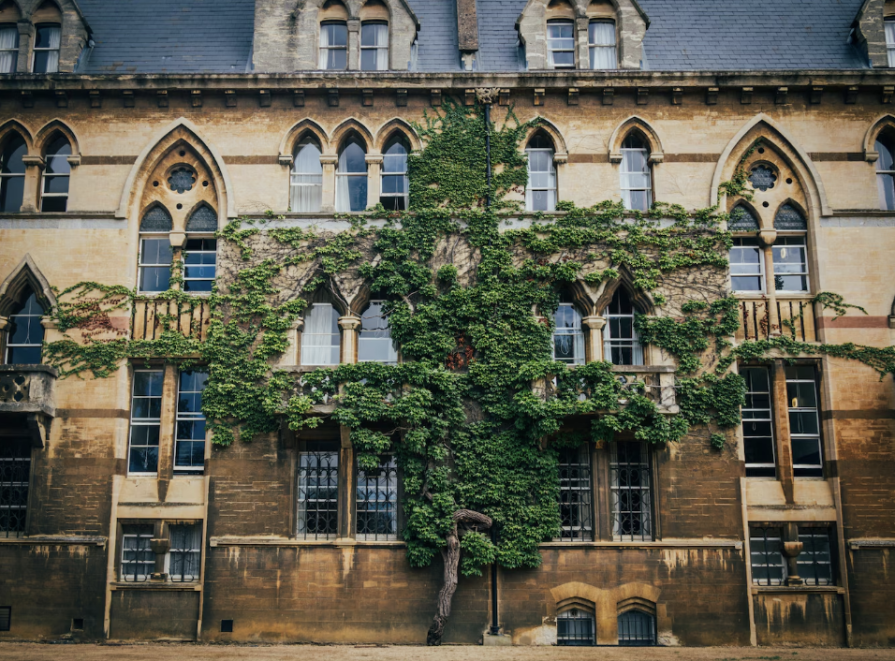 У Cambridge English Educational — новые партнерские школы в Великобритании, на Мальте и в Ирландии