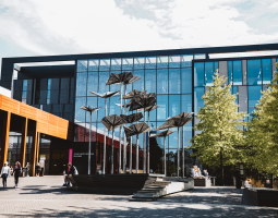 Oxford Brookes University Summer летний лагерь Оксфорд Брукс