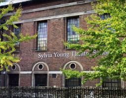 Sylvia Young Theatre School, Театральная школа Сильвии Янг