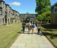 Fitzwilliam College Летний Лагерь Фицвиллиам Колледж