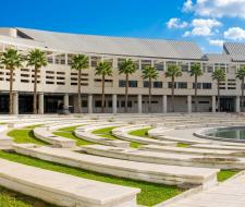 University of Alicante English Camp, Английский лагерь в Университете Аликанте