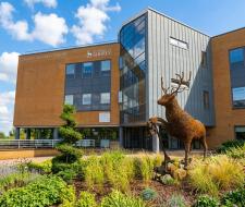 University of Surrey Summer Camp, Летний лагерь Университета Суррея