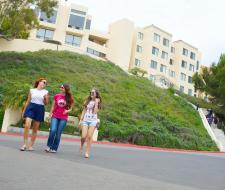 Летний лагерь Малибу Malibu Kings College Summer