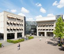 Breda University of Applied Sciences (Университет прикладных наук Бреды)