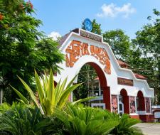 Tezpur University, Университет Тезпур