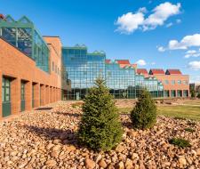 Western College, Уэстерн-Колледж