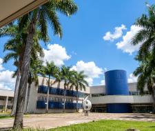 Universidade Federal de Goiás UFG (UFG) Федеральный университет Гояс