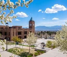 University of Colorado Colorado Springs (UCCS) Университет Колорадо Колорадо-Спрингс