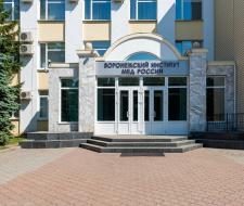Воронежский институт Министерства внутренних дел России, ВИ МВД