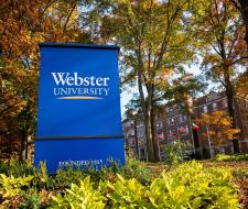 Webster University Irvine Университет Webster University Irvine