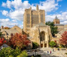 Yale University Summer Летний лагерь в Йельском университете