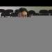 gallery video