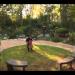gallery video