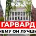 gallery video