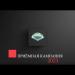 gallery video