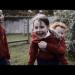 gallery video