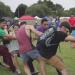 gallery video