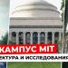 gallery video