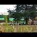 gallery video