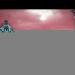 gallery video
