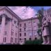 gallery video