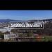 gallery video