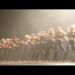 gallery video