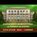 gallery video
