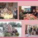 gallery video