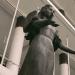 gallery video