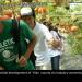 gallery video