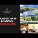gallery video