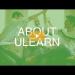gallery video