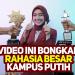 gallery video