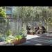 gallery video