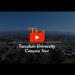 gallery video