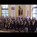gallery video
