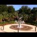 gallery video