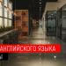 gallery video