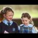 gallery video