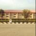 gallery video