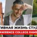 gallery video