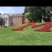 gallery video
