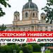 gallery video