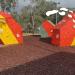 gallery video