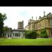 gallery video